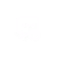 7.png